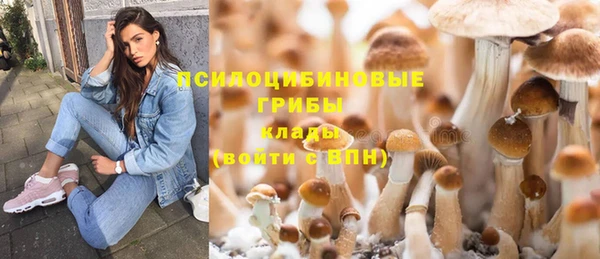 бошки Арсеньев