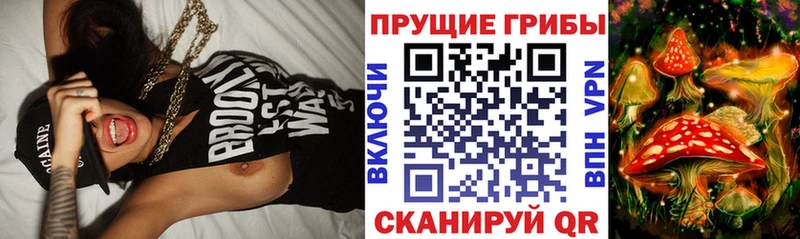 наркошоп  Ахтубинск  Псилоцибиновые грибы ЛСД 