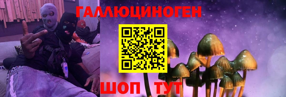 Псилоцибиновые грибы ЛСД Ахтубинск